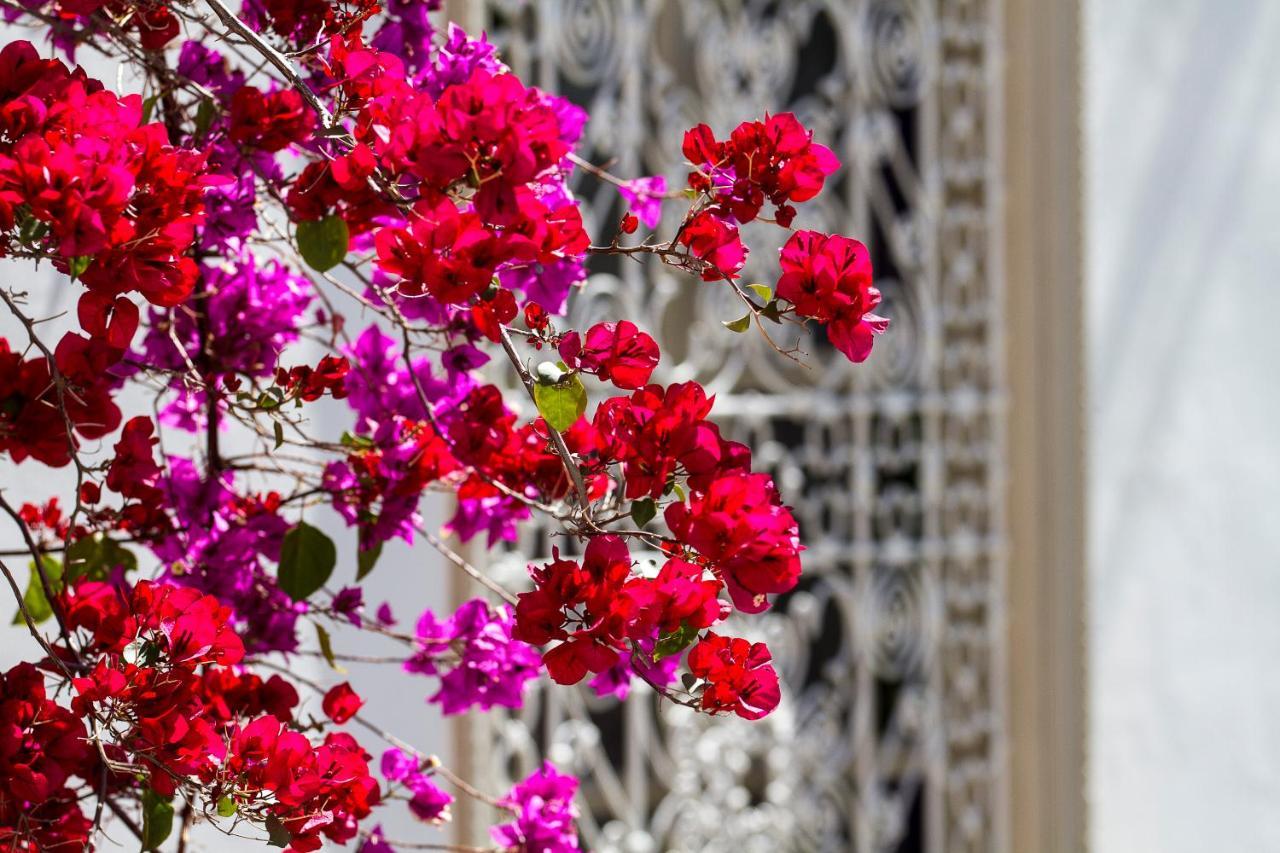 Riad Clementine Marrakesh Luaran gambar